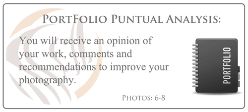 putual-analysis-portfolio_500